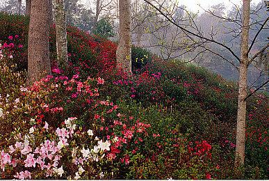 弹幕射击《Archvale》正式发售 Steam获特别好评